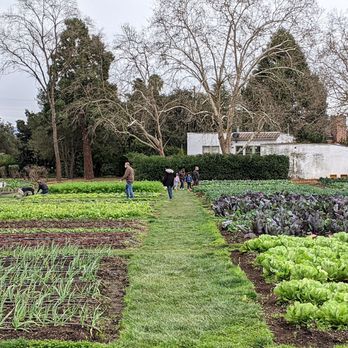 TFL Garden - garden view - Farms Near Me - Yountville, California