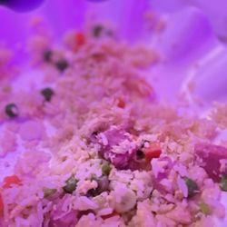 Spot KTV & Restaurant - Shrimp Fried Rice