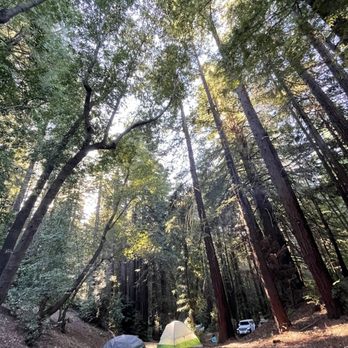 Ventana Campground - View down to 27 and parking for 26, 27 - Campgrounds Near Me - Big Sur, California