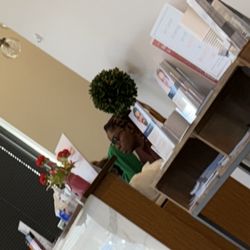Pinnacle Dermatology - Chicago Archer Ave