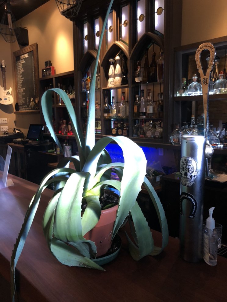Reposado Bar & Lounge