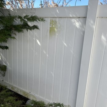 Potential Pressure Washing - Green Algae ,mold and mildew stains can quickly be removed with my special chemical that is harmless to any material and plants . - Pressure Washers Near Me Potential Pressure Washing - Green Algae ,mold and mildew stains can quickly be removed with my special chemical that is harmless to any material and plants . - Pressure Washers Near Me