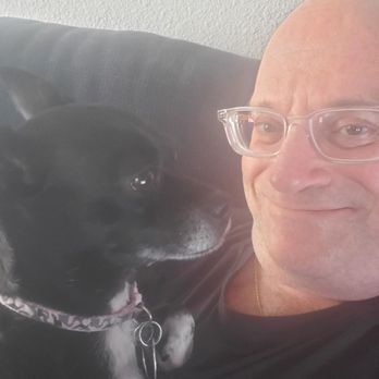 Arizona Small Dog Rescue - She's amazing! - Animal Shelters Near Me - Tempe, Arizona