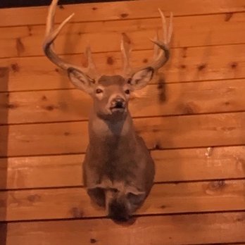 Texas Roadhouse - Nice Rack! There's plenty of game here if you look. - Barbeque Near Me - Surprise, Arizona