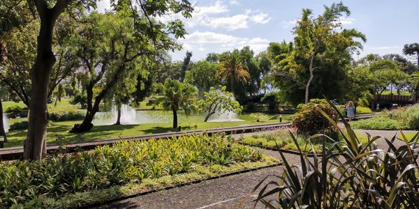 Parque de Santa Catarina by null