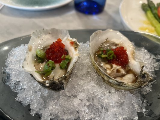 Blackwall Hitch by null