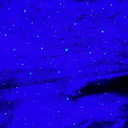 In the cave In the cave
