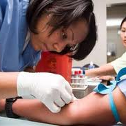 Florida Health Care Academy - Phlebotomy - Student
