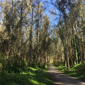 Quarry Park - Greeting Trail. - Parks Near Me - El Granada, California