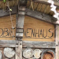 Museum für Natur und Umwelt