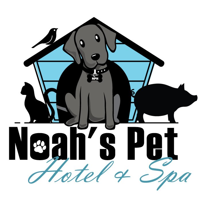 Noah's Pet Hotel & Spa - pet boarding facility in Harrisburg, PA