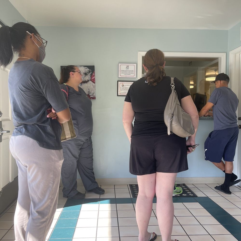 Riverside Animal Hospital - You can see the frustration in all of us - Veterinarians Near Me - Riverside, California