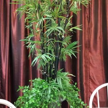 Uncle Ray's Catering Service - Tree - Caterers Near Me - San Jose, California