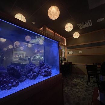 Sushi Ukai - Cute atmosphere - Sushi Bars Near Me - La Grange, Illinois Sushi Ukai - Cute atmosphere - Sushi Bars Near Me - La Grange, Illinois