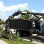 Photo of Florida Green Lawn & Tree Service