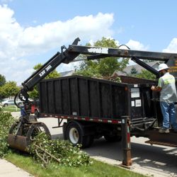 Florida Green Lawn & Tree Service - We have you covered with our professional tree services!