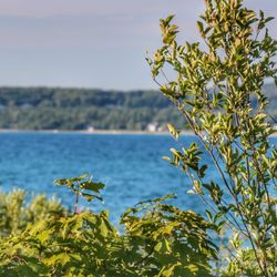 The City of Petoskey
