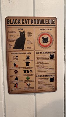 Menu photo 1 Santa Fe Cat Cafe Santa Fe, NM