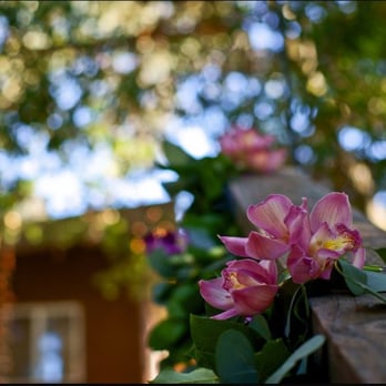 Bella Fiore - reception garland - Florists Near Me Bella Fiore - reception garland - Florists Near Me
