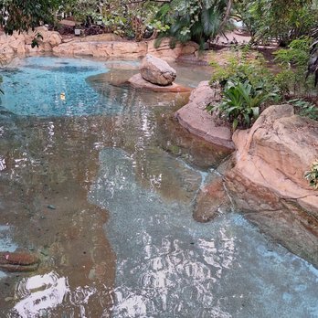 Discovery Cove - Amusement Parks Near Me - Orlando, Florida Discovery Cove - Amusement Parks Near Me - Orlando, Florida