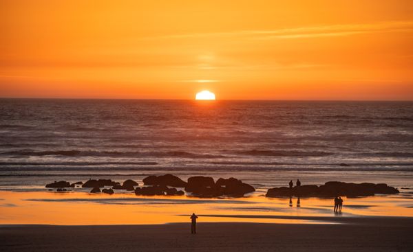 Kalaloch Lodge at Olympic National Park by null