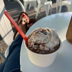 Coral Cones - Chocolate and moose tracks
