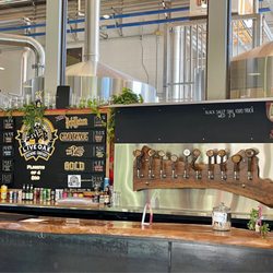 Live Oak Brewing Company - Eight beers on tap, all brewed here.