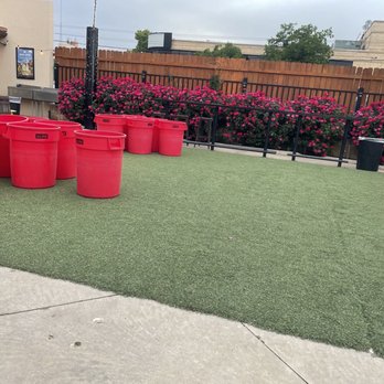 The Garden - Part of the area beautiful roses - Music Venues Near Me - Lubbock, Texas