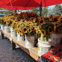 Sound Shore Farms & Market - 8/16/25