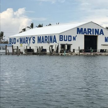Fearless Fishing Charters - The marina POST IRMA - Fishing Near Me - Islamorada, Florida