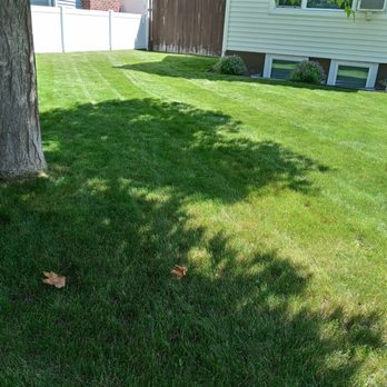 At Nature's Edge Landscaping - a tree in the yard - Landscaping Near Me At Nature's Edge Landscaping - a tree in the yard - Landscaping Near Me