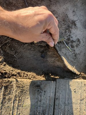 Lambert Roofing Logo