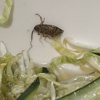 Saigon Noodles - Vietnamese Near Me - Salinas, California