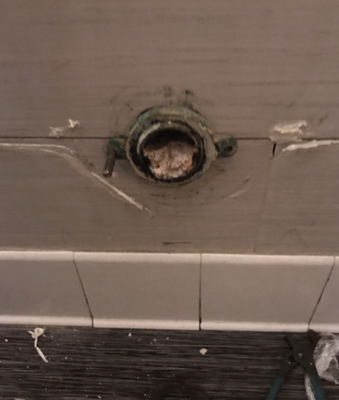 Drain Cleaning - Do you have a clog in your drain, or tree roots growing in you pipes? Call us today and we can get you cleaned up!