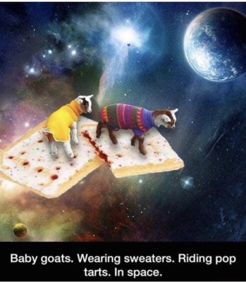 T & T Liquors Inc by null