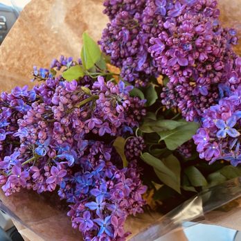 Dream Box LA - Fresh and fragrant lilac bouquet made to order. - Florists Near Me
