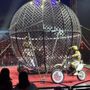Photo of Circus Vargas