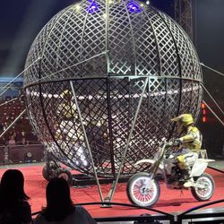 Circus Vargas