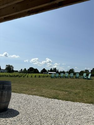 Door 44 Winery by null