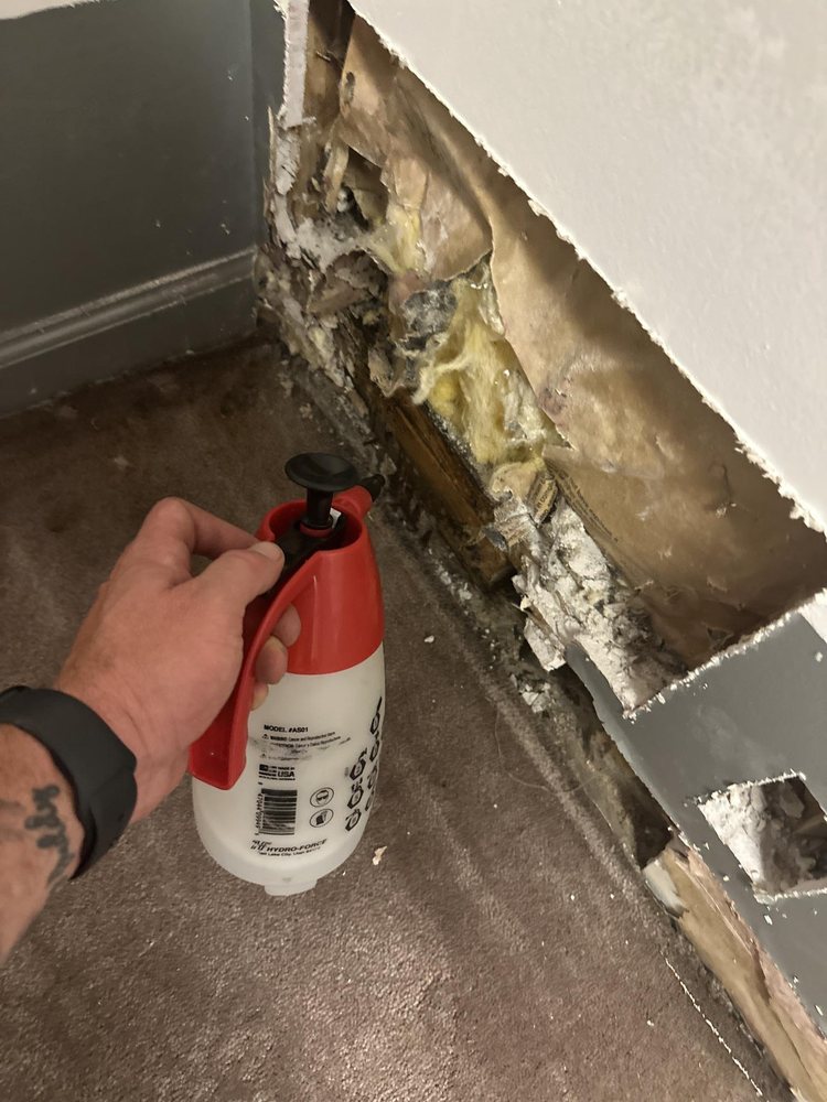 1-800 WATER DAMAGE of South Denver - septic in Englewood, CO