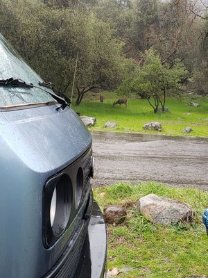 Potwisha Campground by null