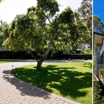 A-1 Clean - Driveway Power Washing Services - Carpet Cleaning Near Me