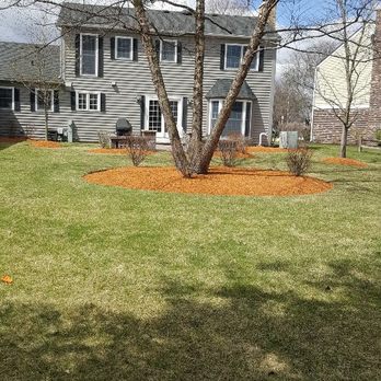 Barrera Tree Service - Tree Services Near Me