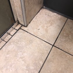 Alon - Showers full of bugs