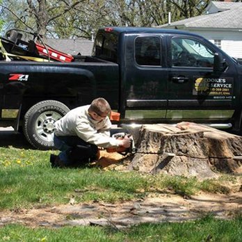 Cookes Tree Service 1 - Tree Services Near Me - Humboldt, Iowa Cookes Tree Service 1 - Tree Services Near Me - Humboldt, Iowa