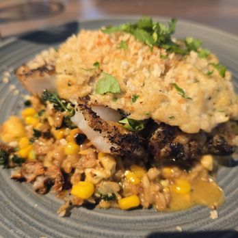 Kitchen Social - Crab crusted - New American Near Me - Sarasota, Florida