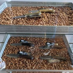 Battle Horse Knives