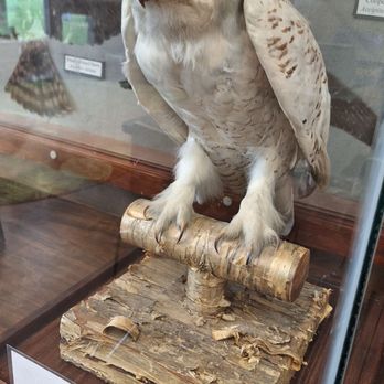 Five Rivers Environmental Center - Museums Near Me - Delmar, New York