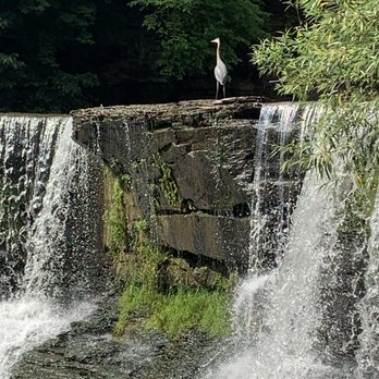 Chagrin Water Falls - Parks Near Me - Chagrin Falls, Ohio Chagrin Water Falls - Parks Near Me - Chagrin Falls, Ohio