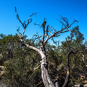 Lake Poway Park - Parks Near Me - Poway, California